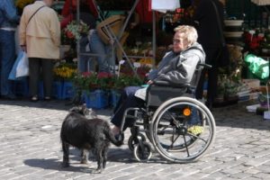 rolstoel-met-blindegeleidehond