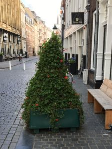 Van wie is het trottoir13-09-17 15 55 21
